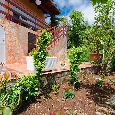 Zorka Appartamento Medveja