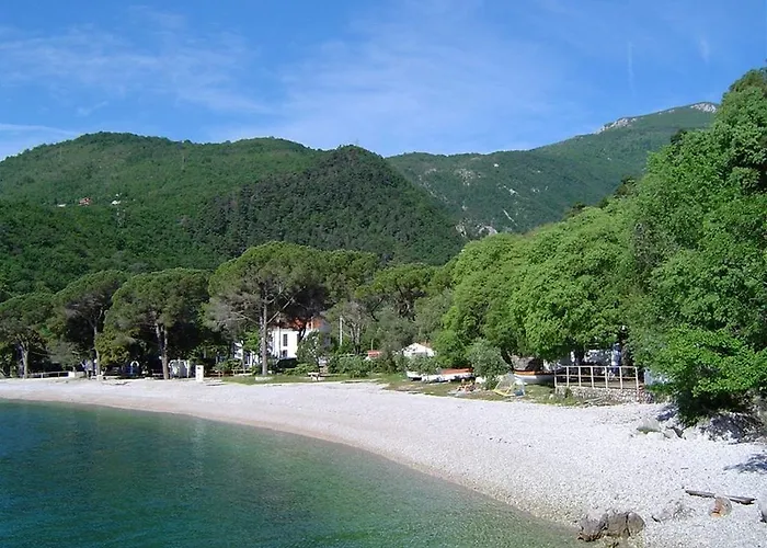 Zorka