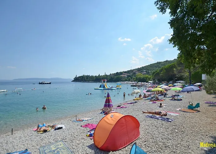 Zorka *